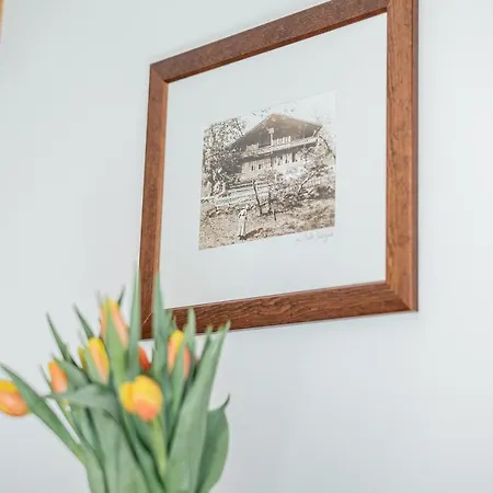 Haus Whymper By Premium Lejlighed Zermatt