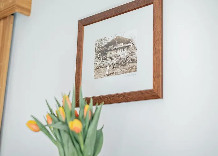 Haus Whymper By Premium Appartamento Zermatt